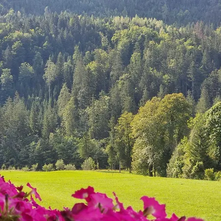 Apia House Penzion Unken